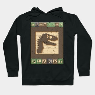 TRIASSIC PLANET BLOCKS Hoodie